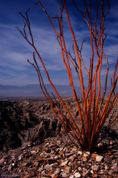 10 Hidden Natural US Wonders