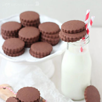 Chocolate Sugar Cookies